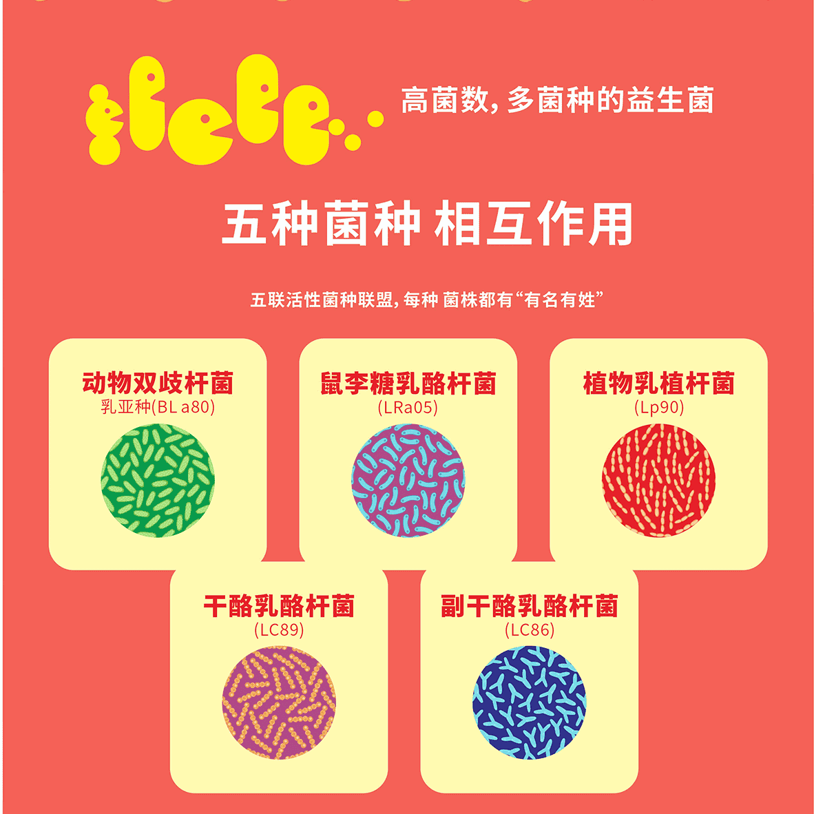 宠粉活动：益生菌固体饮料2盒装