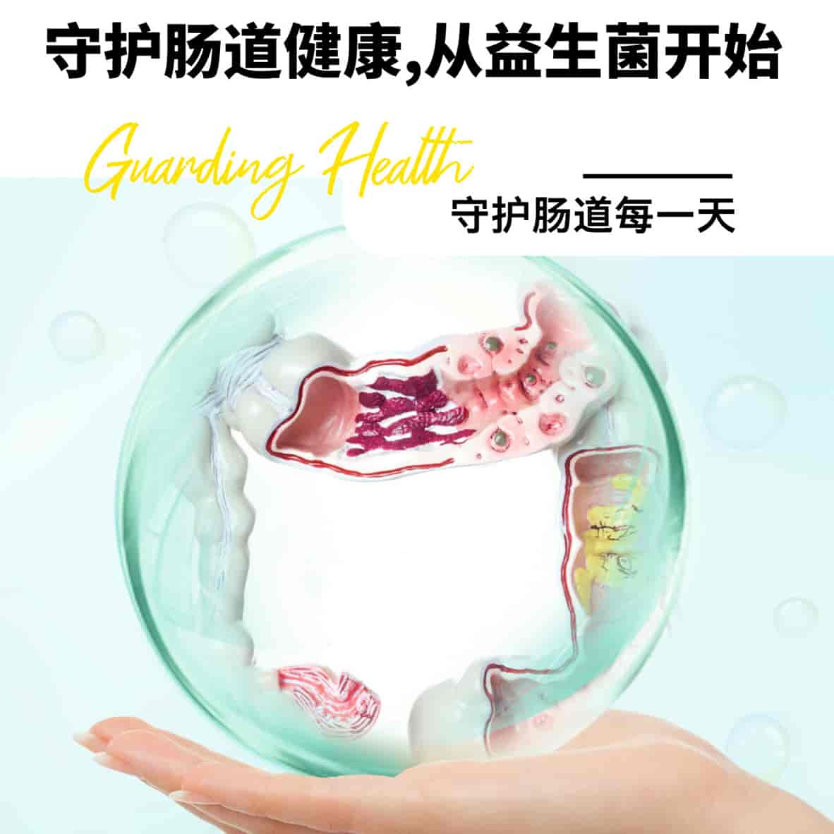 守护肠道健康，从益生菌开始！ 