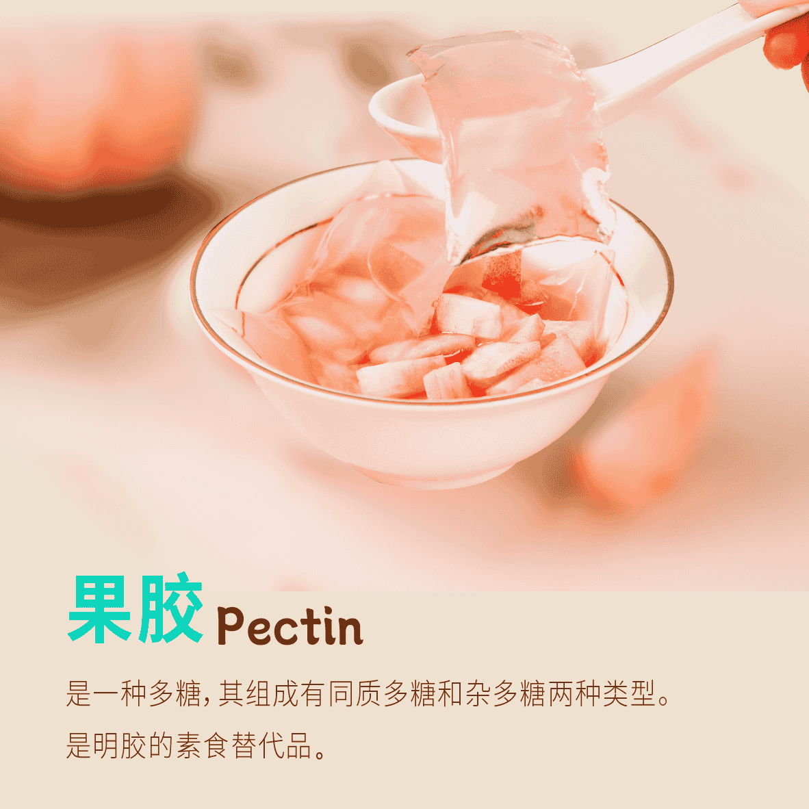 3.8专宠福利-福施福®益生菌果汁软糖